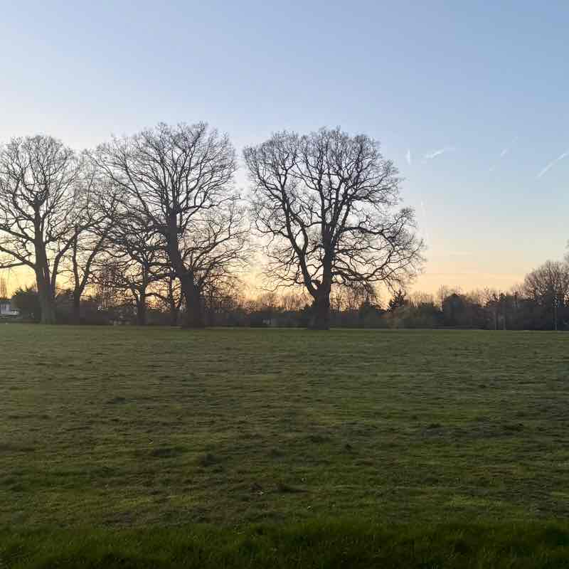 Liz Leg 🇳🇬🇬🇧 post 2