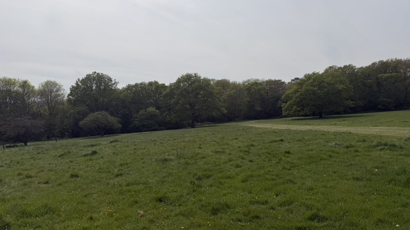 walking near me in Scratchwood Park in spring