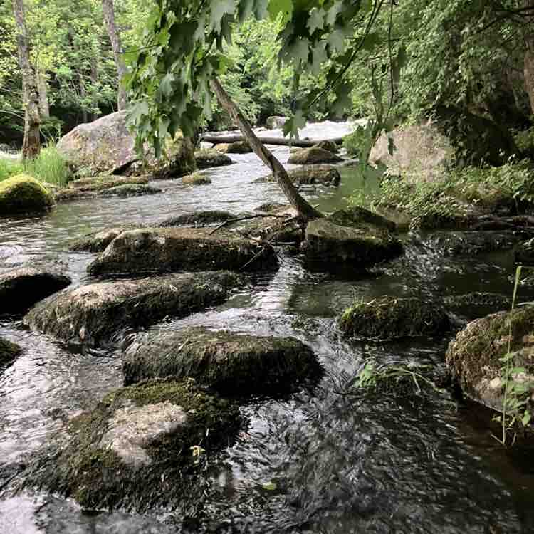 Kviberg Park Hotell Agneta post image