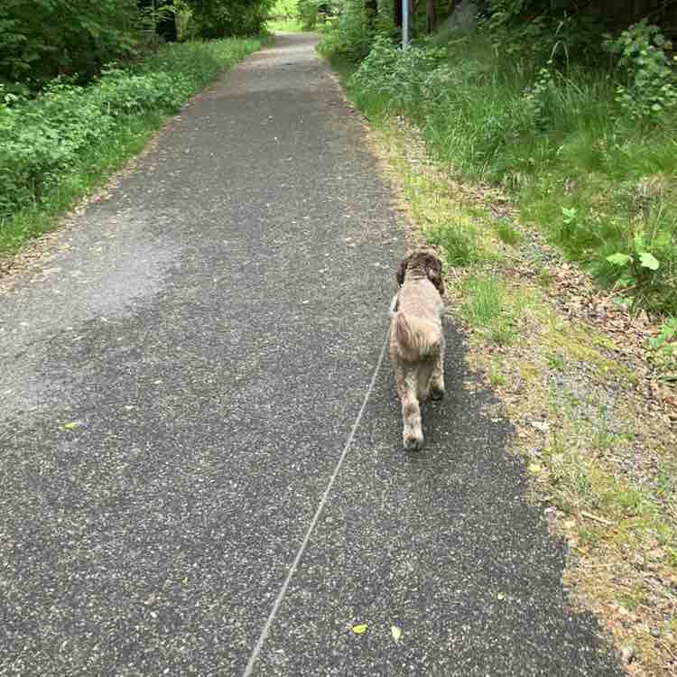 Kviberg Park Hotell Agneta post image