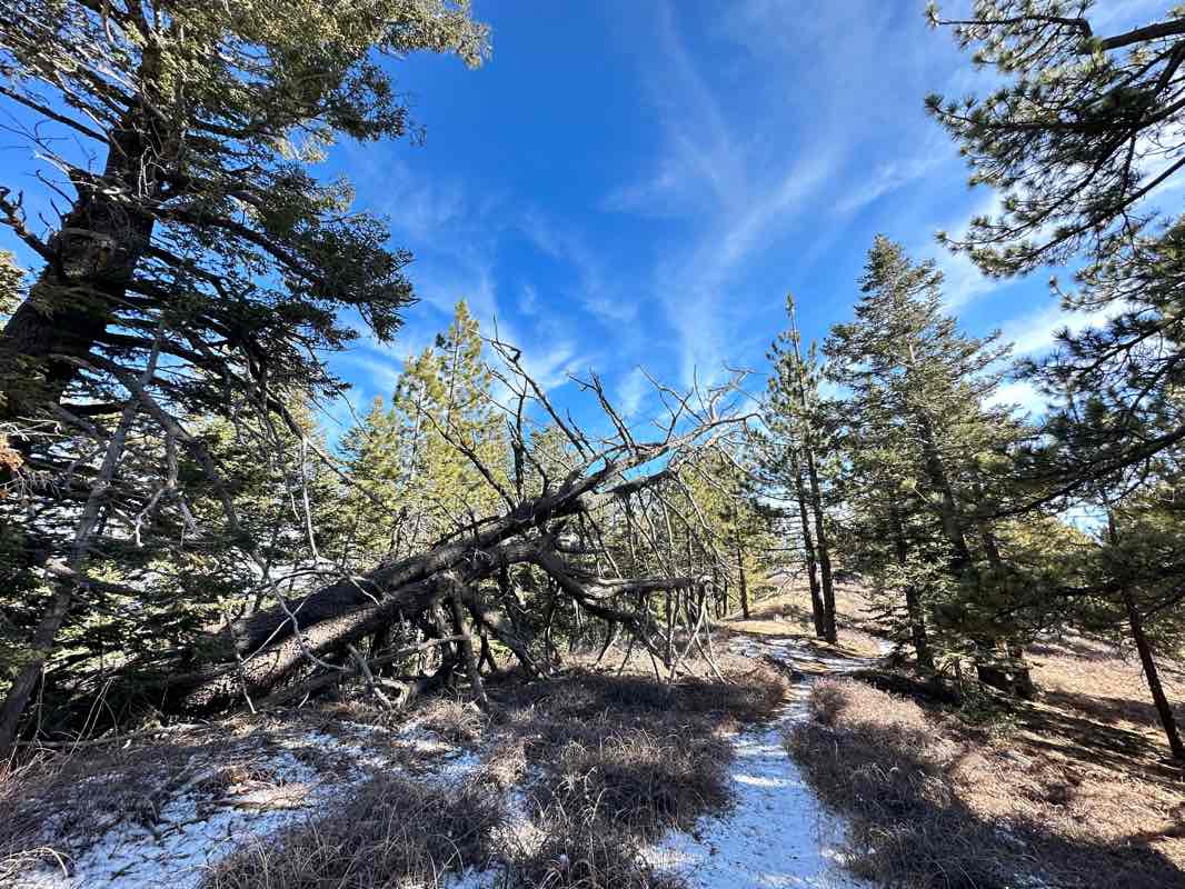 walking near me in Chumash Wilderness in winter