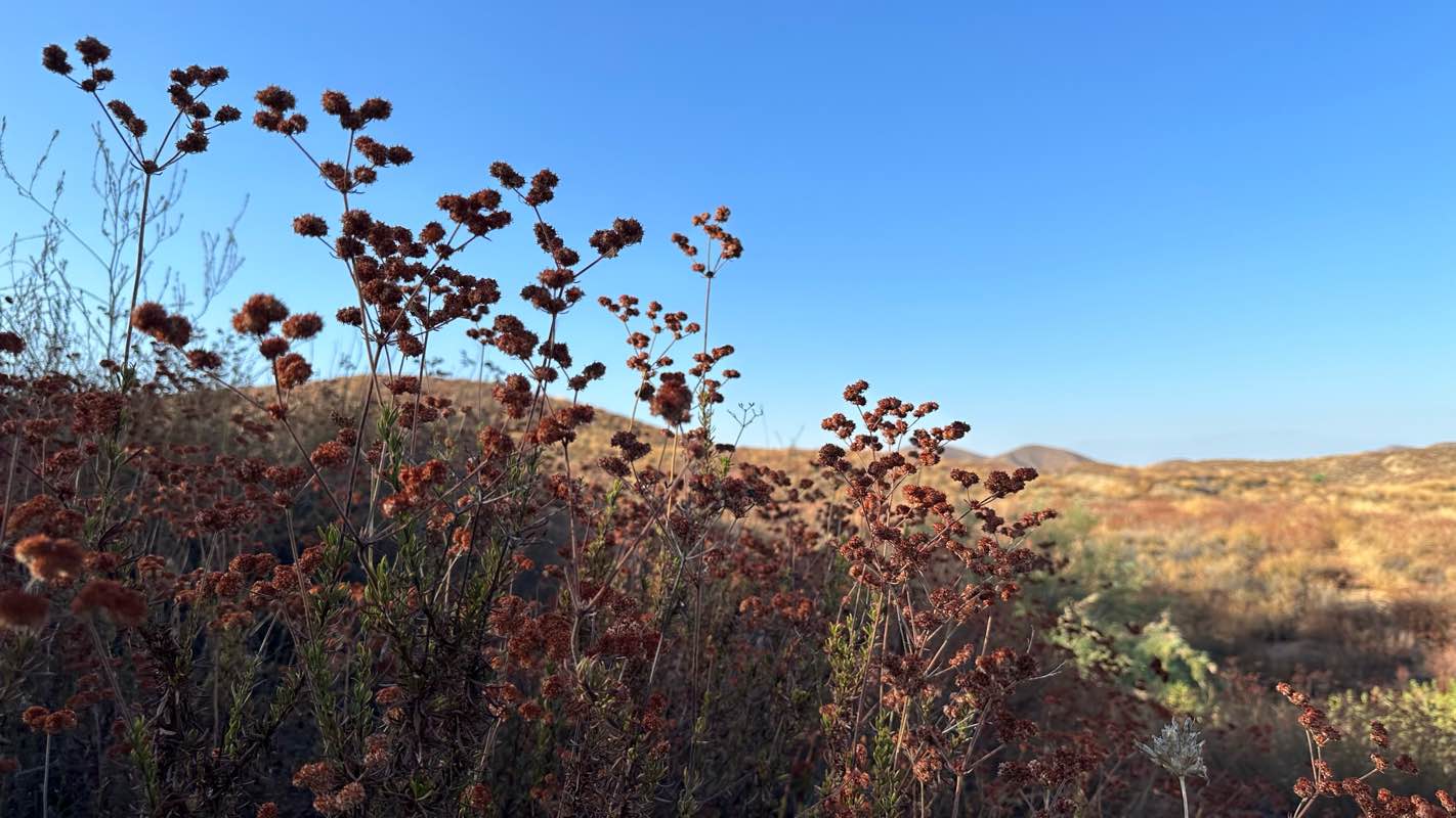 walking near me in Tuscany Hills Community Park in winter