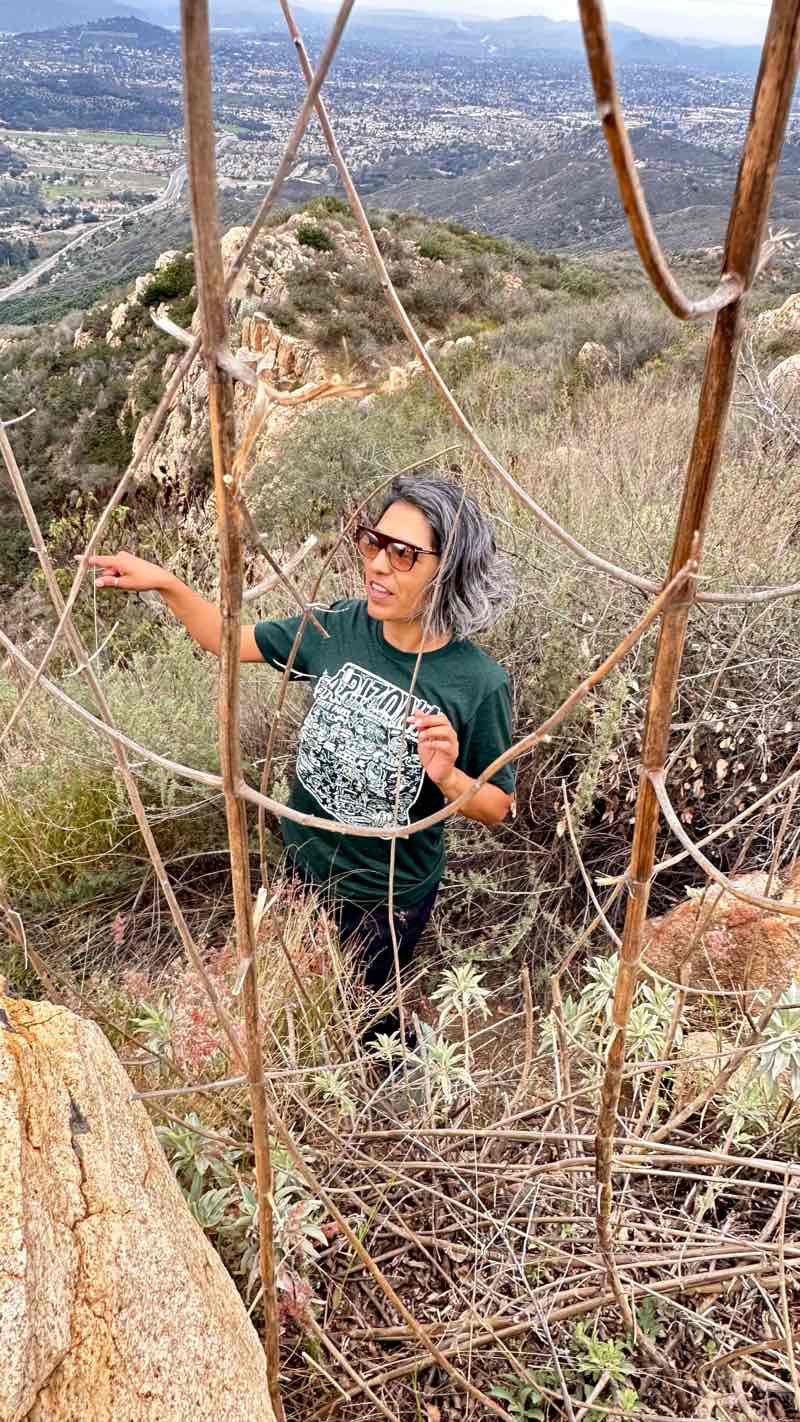 walking near me in Daley Ranch in winter