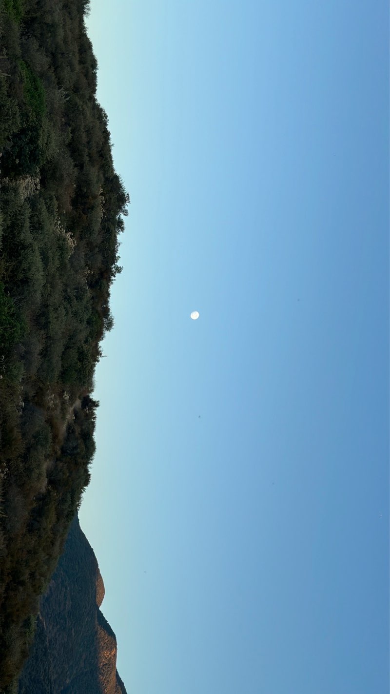 walking near me in Jameson Park in winter