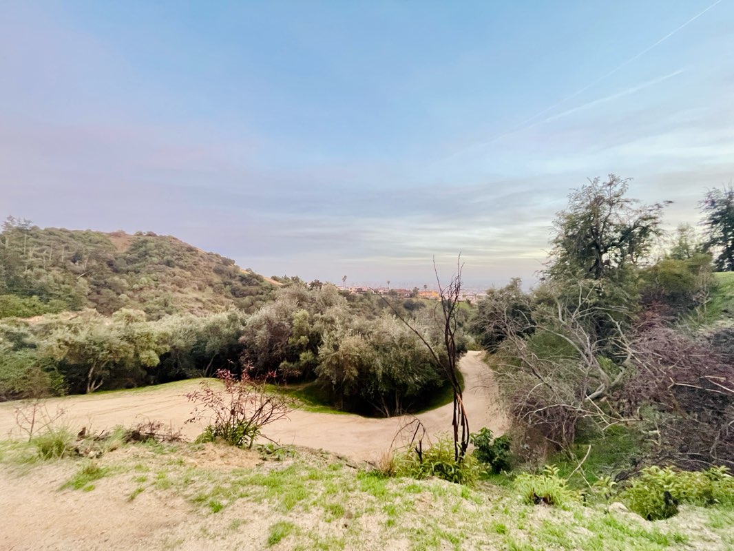 walking near me in Griffith Park in spring