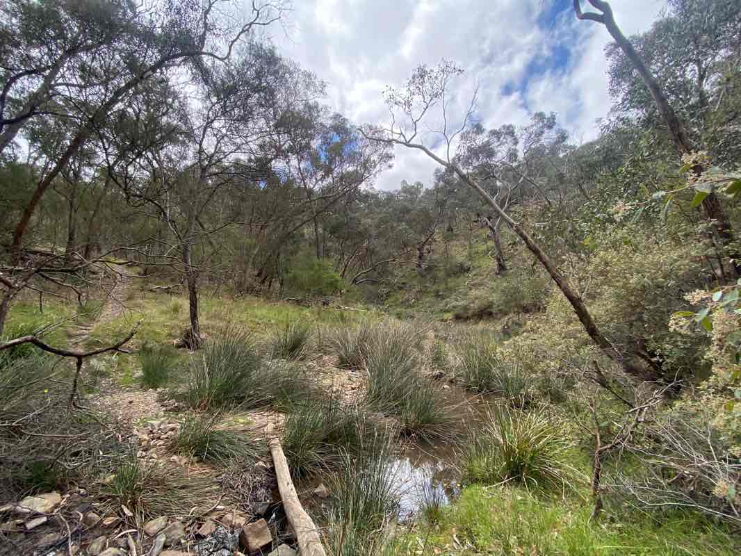 walking near me in Brisbane Ranges National Park in summer