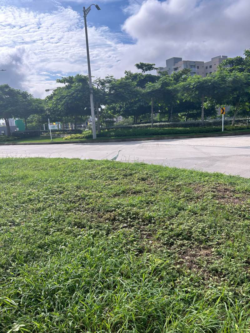 walking near me in Parque La Castellana in winter