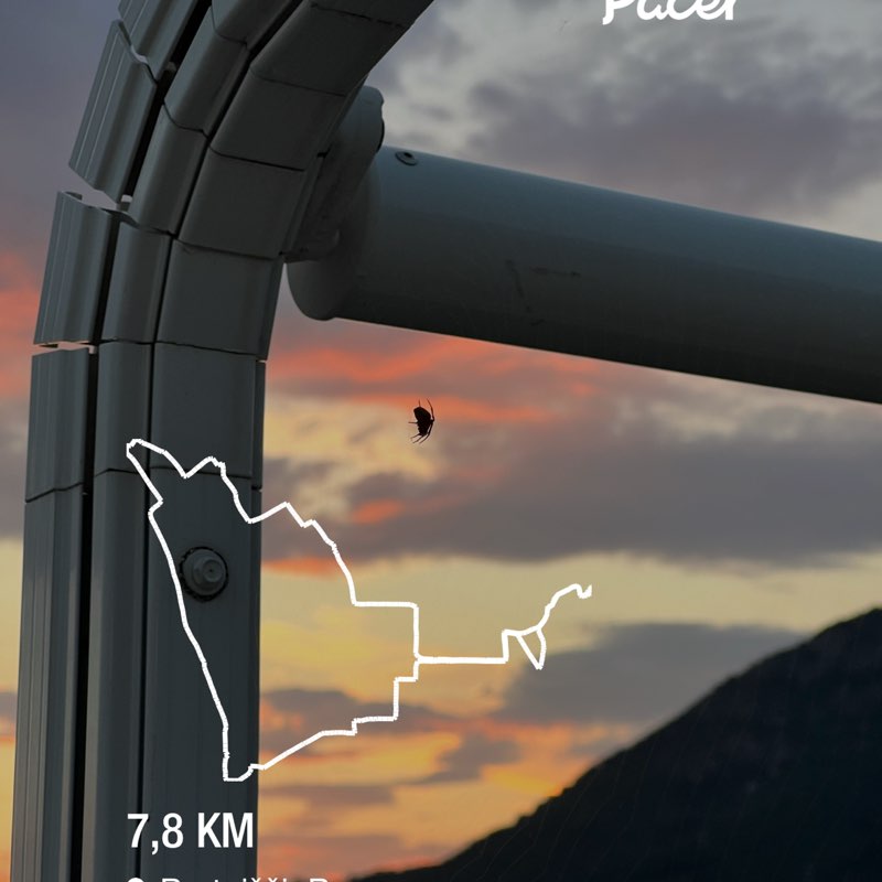 Вероніка post 1