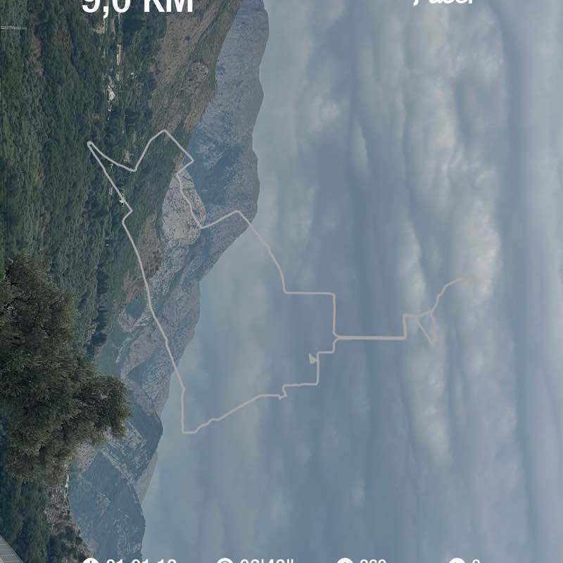 Вероніка post 1