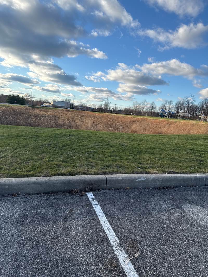walking near me in Billericay Park in autumn