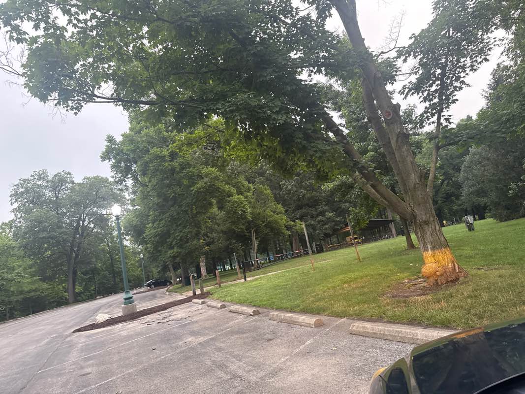 walking near me in Forest Park in autumn