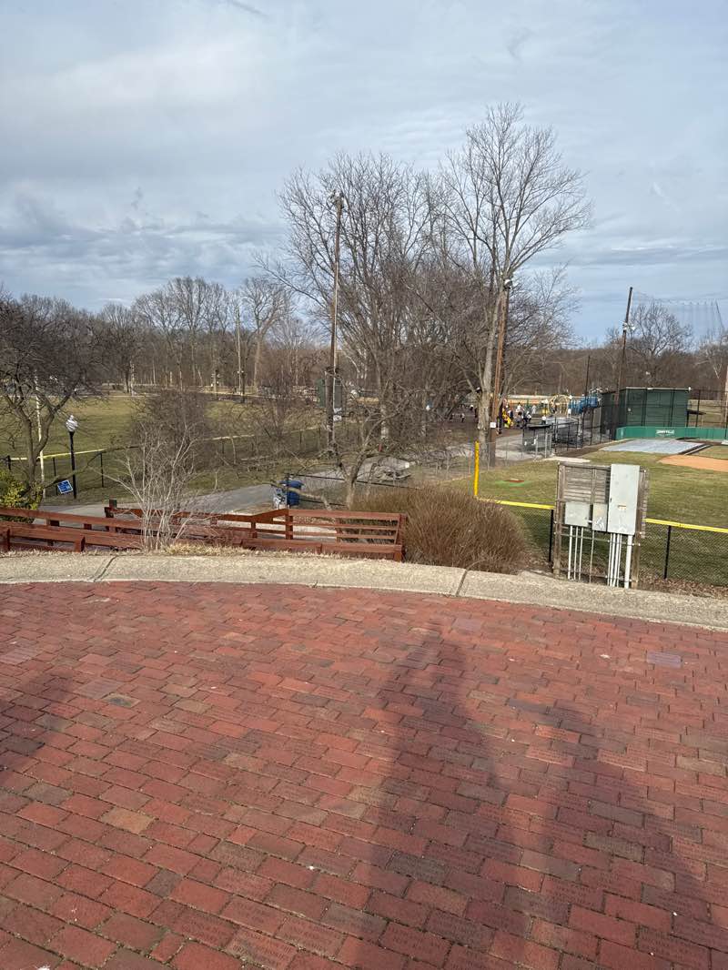 walking near me in Lions Park in spring