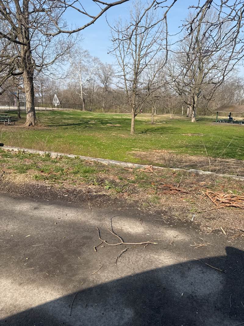 walking near me in Broad Ripple Park in spring