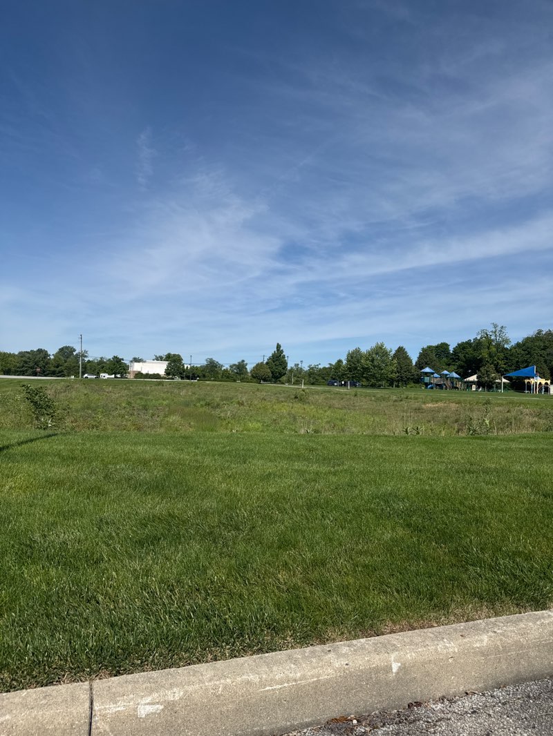 walking near me in Billericay Park in summer