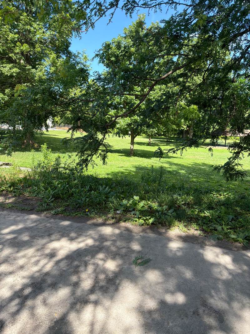 walking near me in Broad Ripple Park in summer