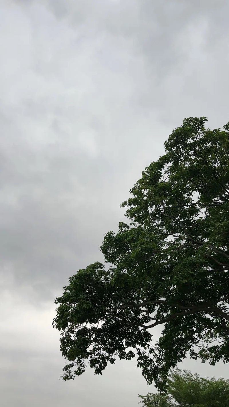 walking near me in Goodyear Court Park in winter