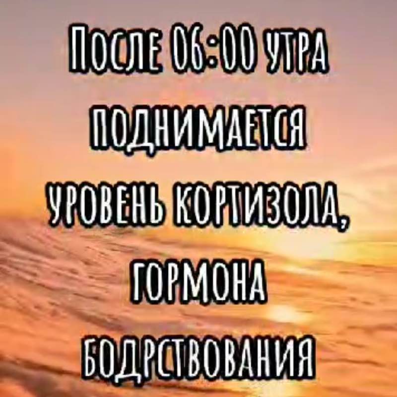 СОЖ Муслимат post image