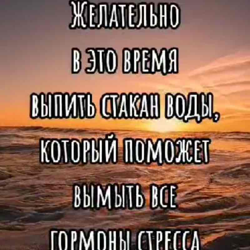 СОЖ Муслимат post image