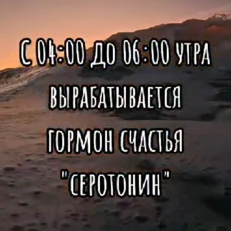 СОЖ Муслимат post image