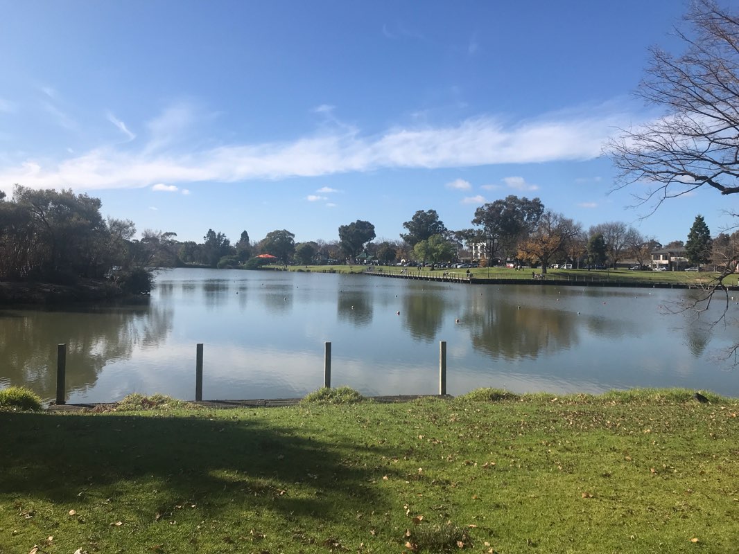 walking near me in Rosalind Park in summer