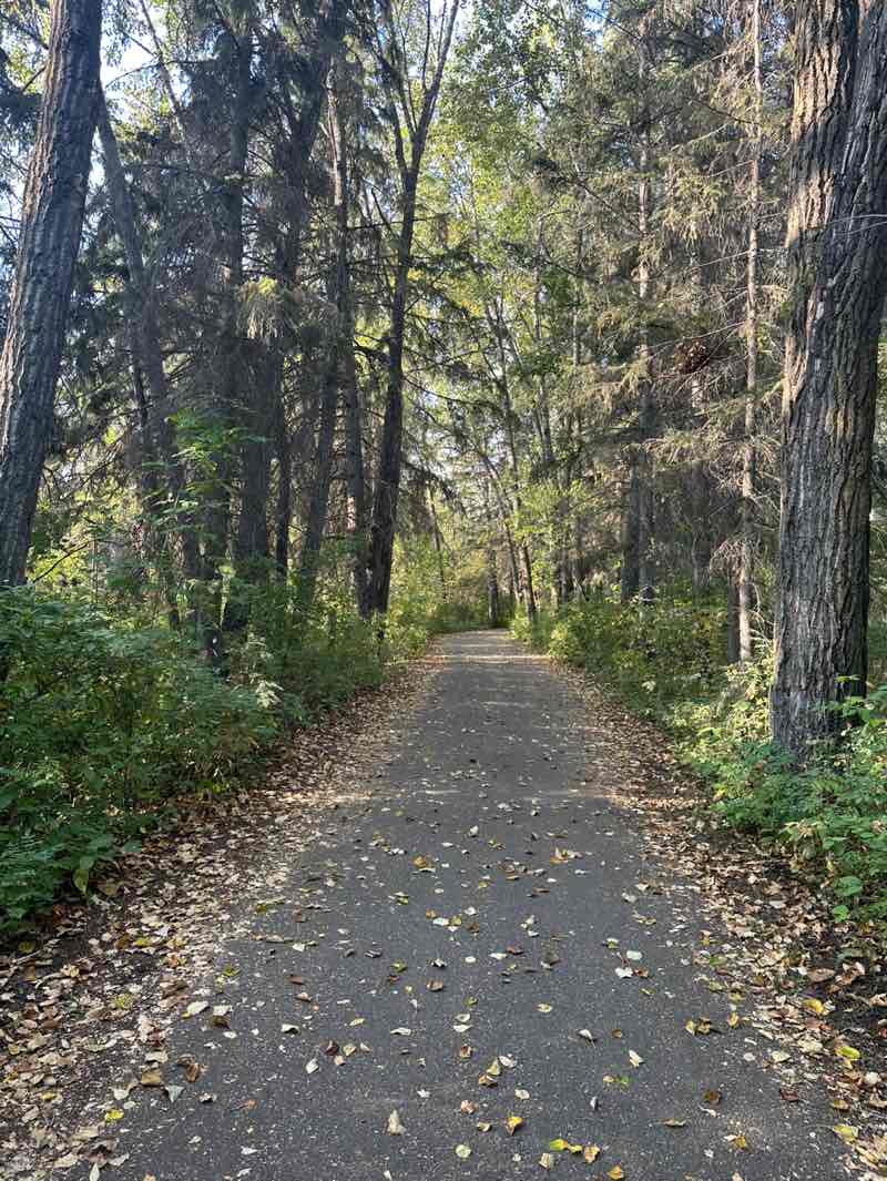 walking near me in Great Chief Park in autumn