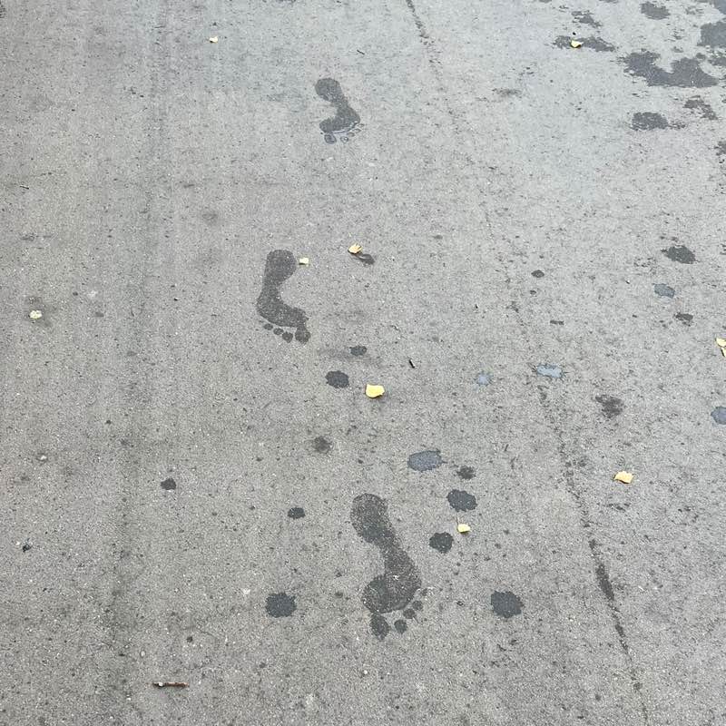 Michael #Freiläufer profile