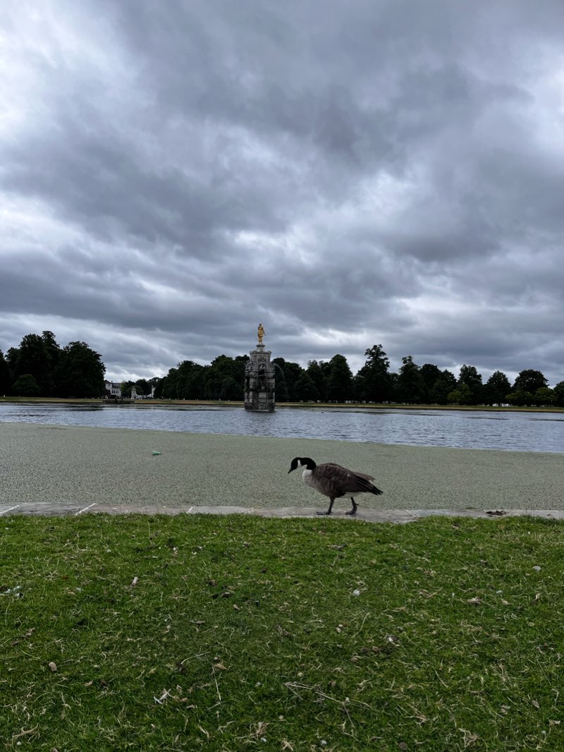 walking near me in Hampton Court Park in winter