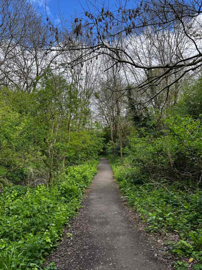 walking near me in Brook Common in winter
