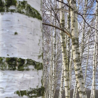 July Distance Challenge Jola post image