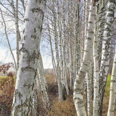 July Distance Challenge Jola post image