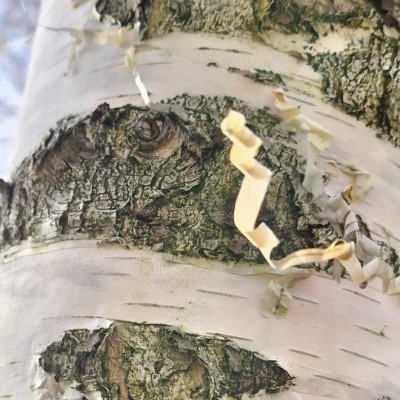 July Distance Challenge Jola post image