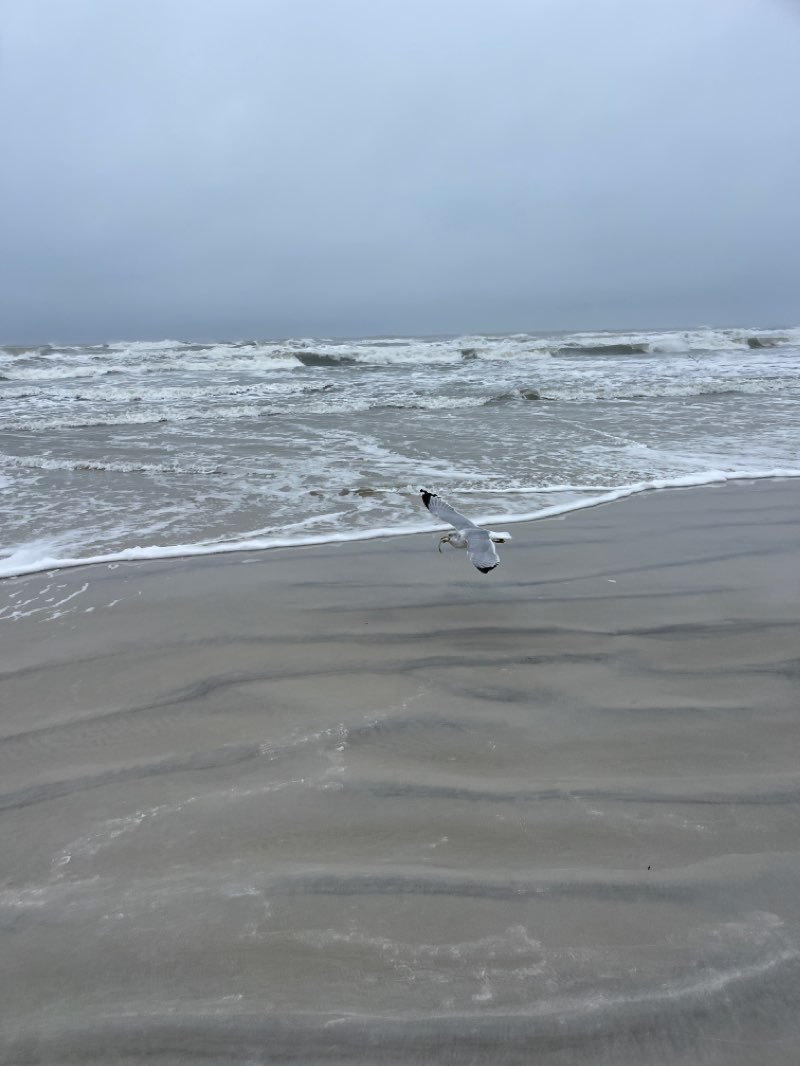 walking near me in Fort Matanzas National Monument in winter