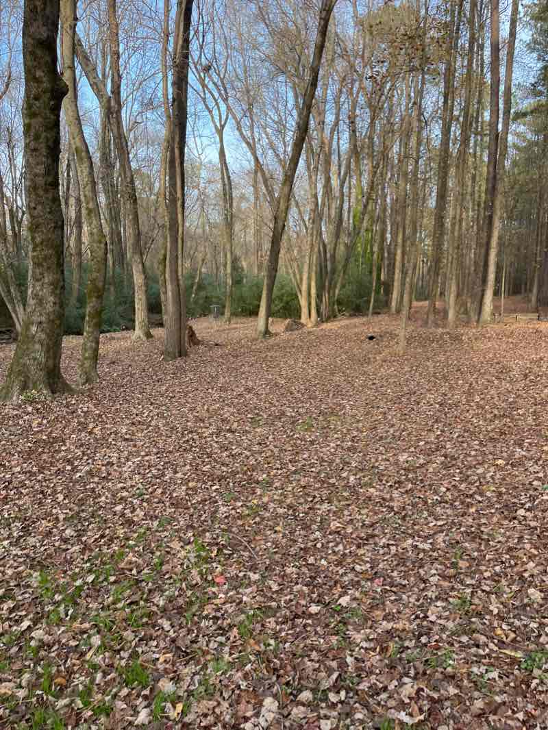 walking near me in Zebulon Community Park in winter