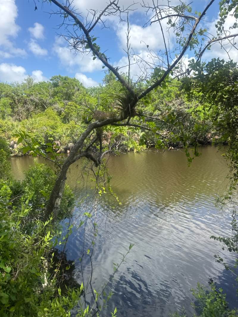 walking near me in Halpatiokee Regional Park in spring