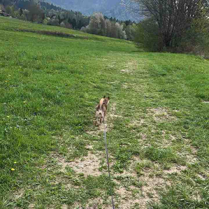 Sergio post 2