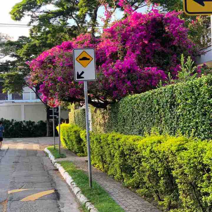 Heloiza Ravasq❤️🏳️‍⚧️❤️🇧🇷⚖️❤️ post 3