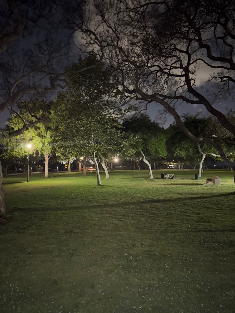 walking near me in Wardlow Park in spring