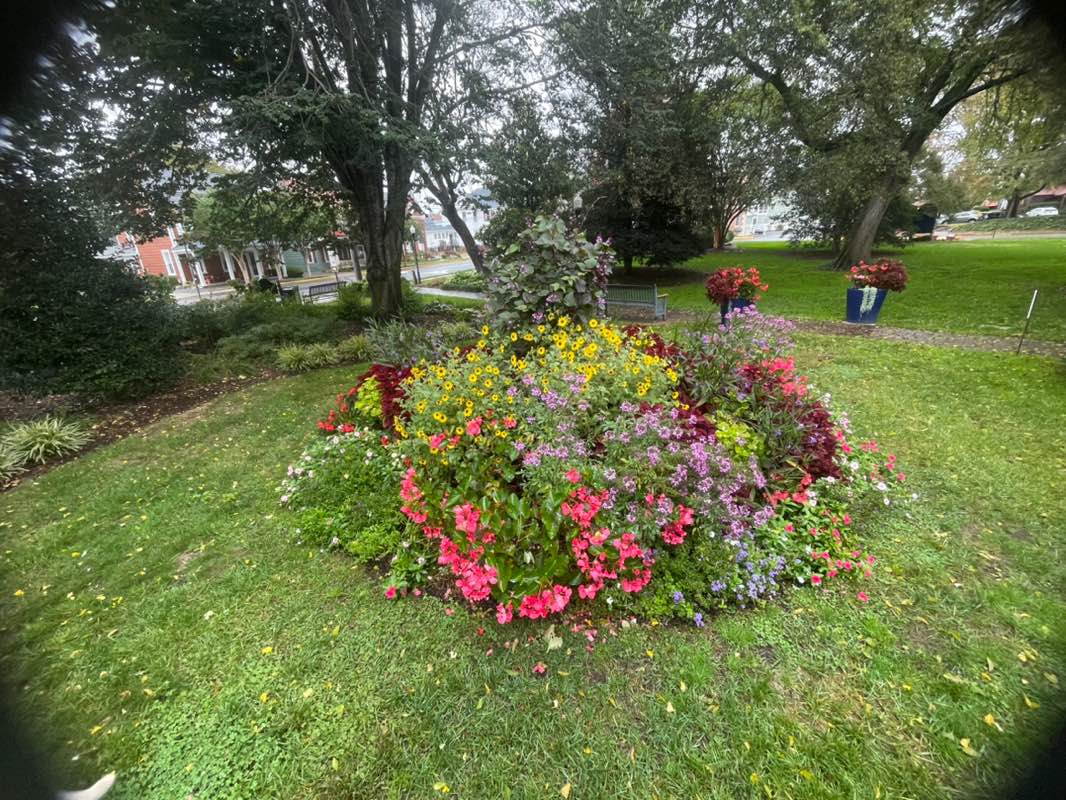 walking near me in Zwaanendael Park in autumn