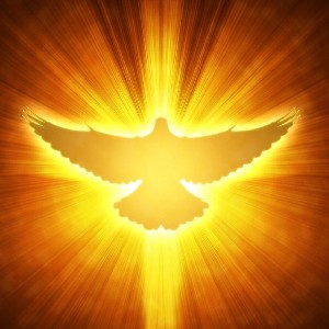 Salvator  🇷🇺 Moscow ❤ profile