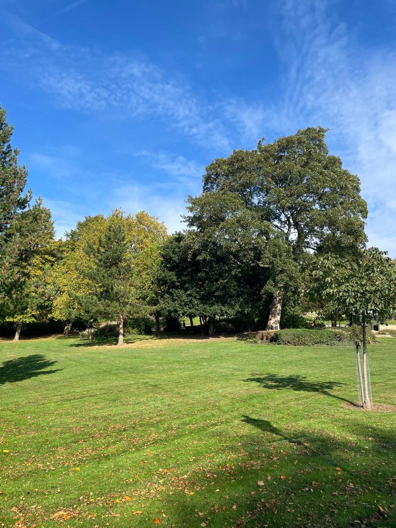 walking near me in Arboretum in autumn