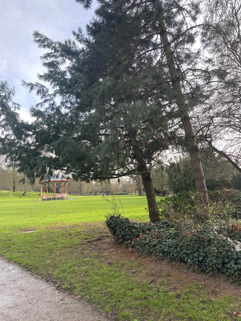 walking near me in Arboretum in winter