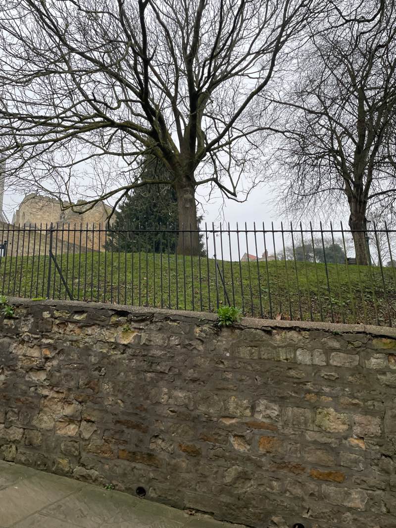 walking near me in Temple Gardens in winter
