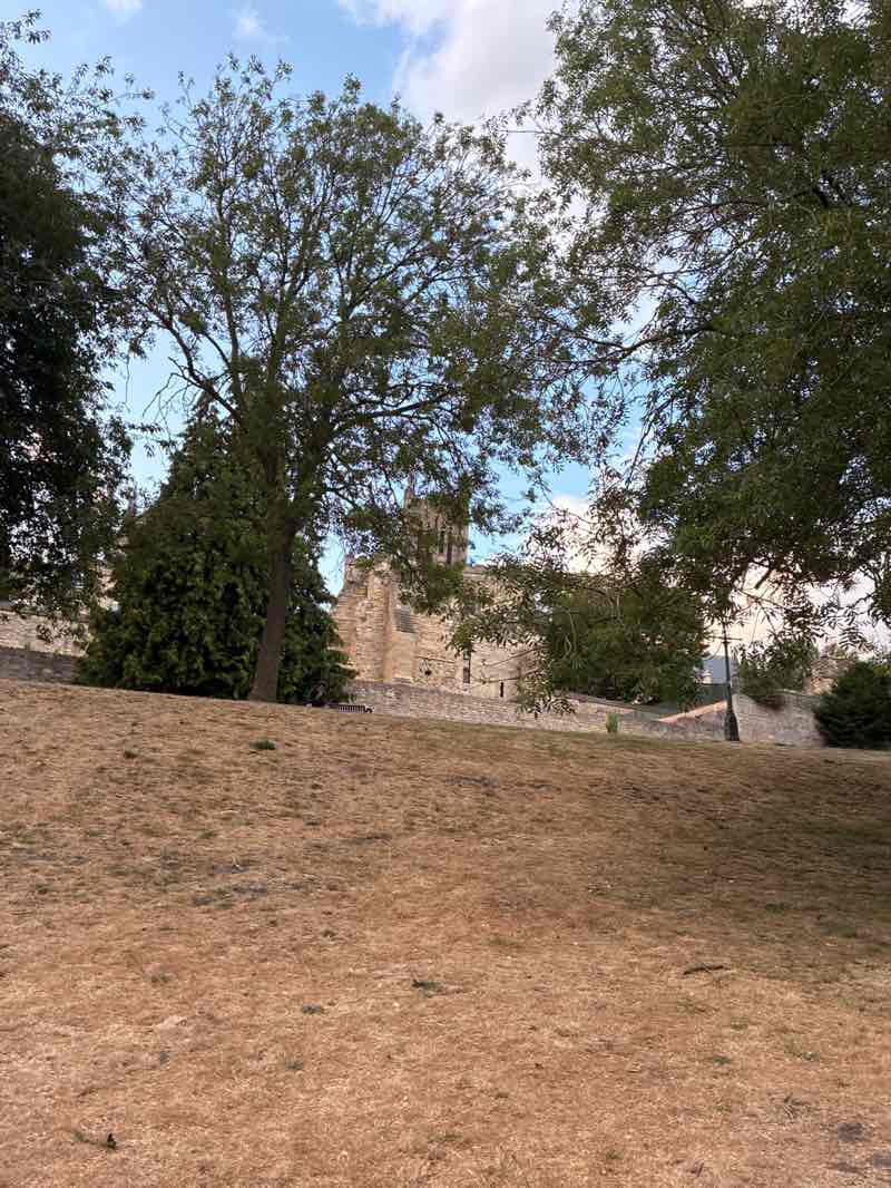 walking near me in Temple Gardens in summer