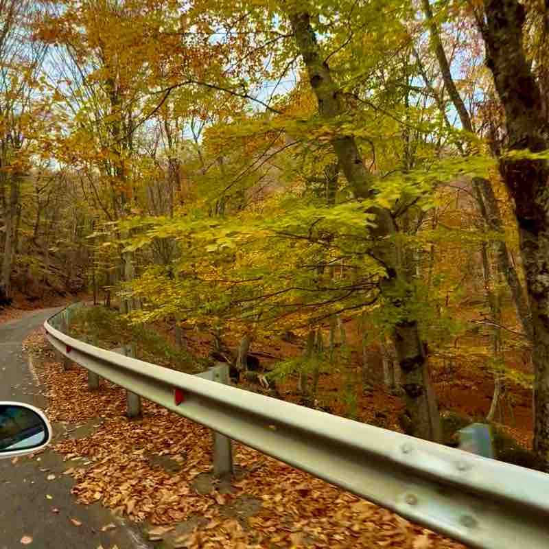 November Steps Challenge ☀️YuLi 🌙 post image