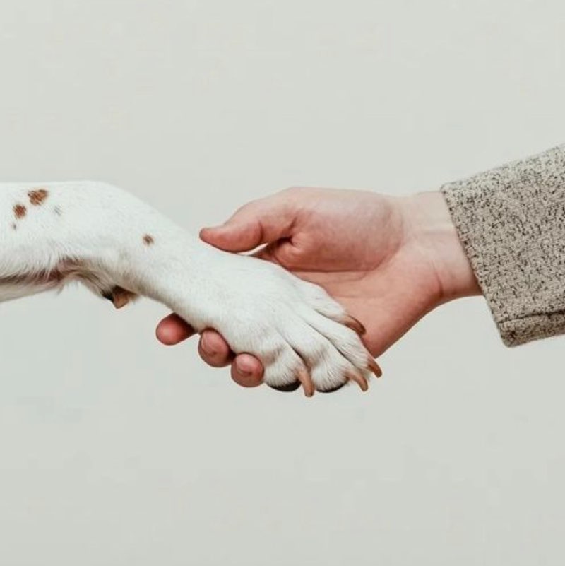 ☀️YuLi 🌙 post 3