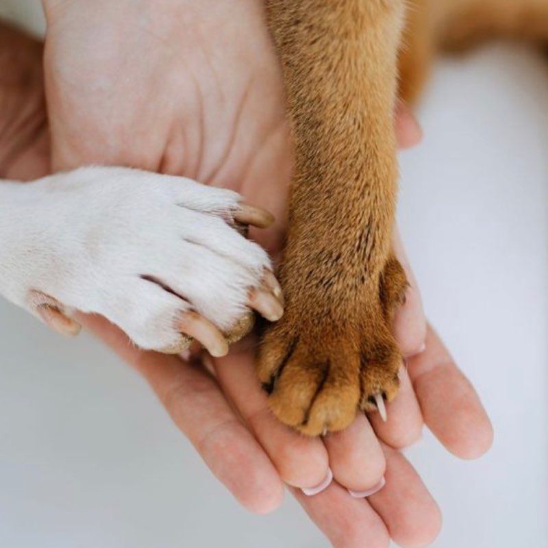 ☀️YuLi 🌙 post 2