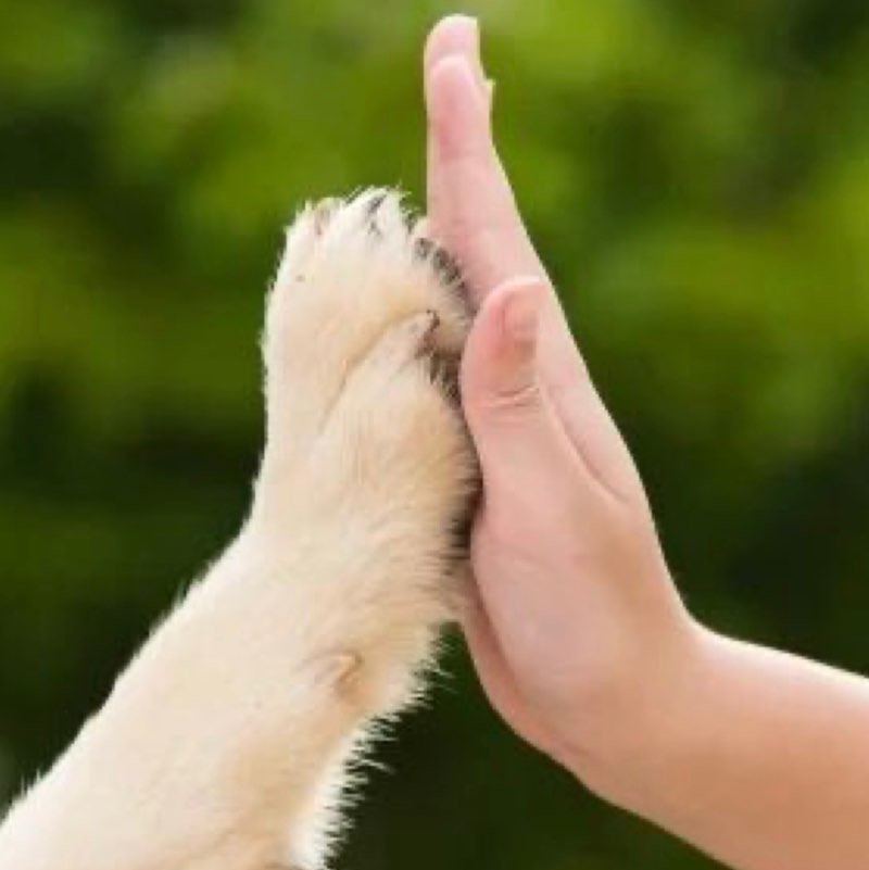 ☀️YuLi 🌙 post 1