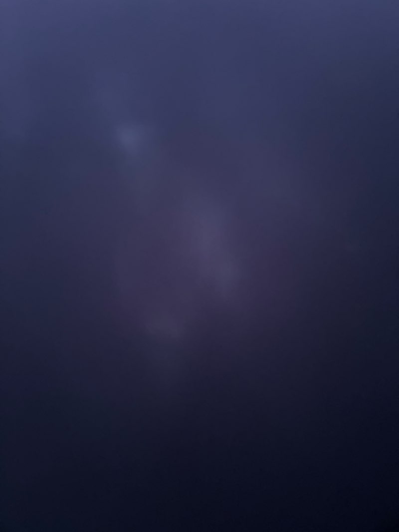 walking near me in VNIT Main Gate Garden in winter