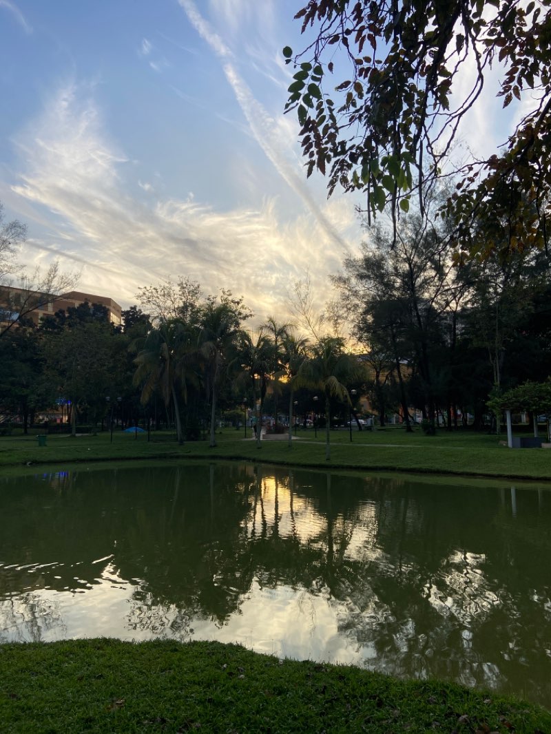 walking near me in Central Park Bandar Utama in winter
