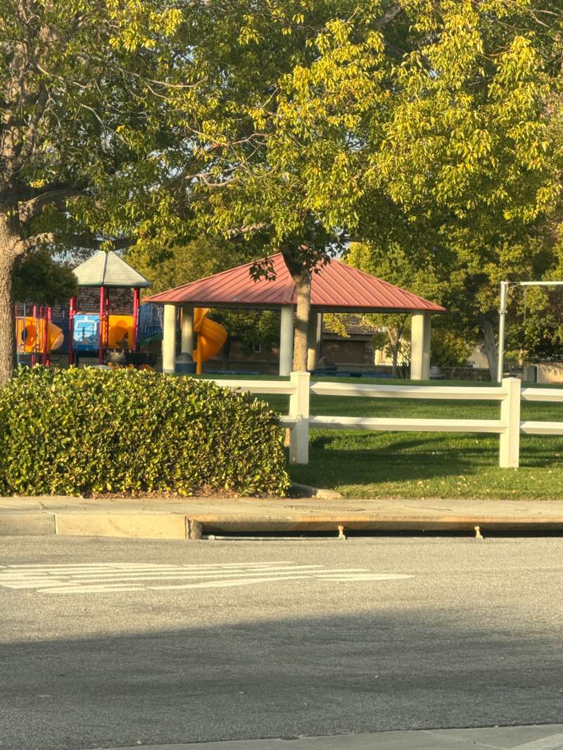 walking near me in Primrose Park in autumn